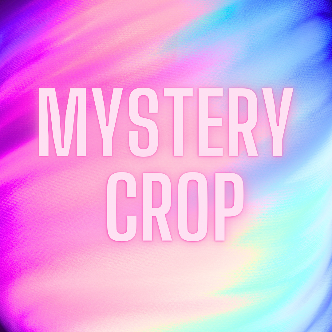 Mystery Halloween Crop